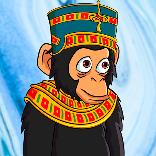 12 PROTON CHIMP