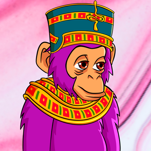 14 PROTON CHIMP