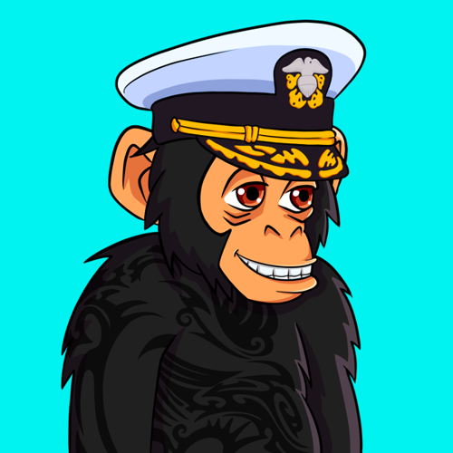 16 PROTON CHIMP