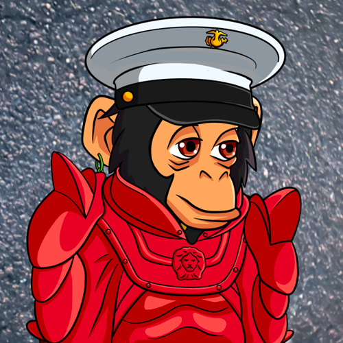 41 PROTON CHIMP