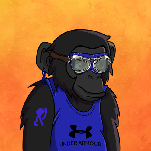 44 PROTON CHIMP